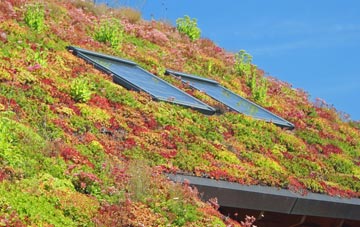 Milton Of Campfield living roof systems